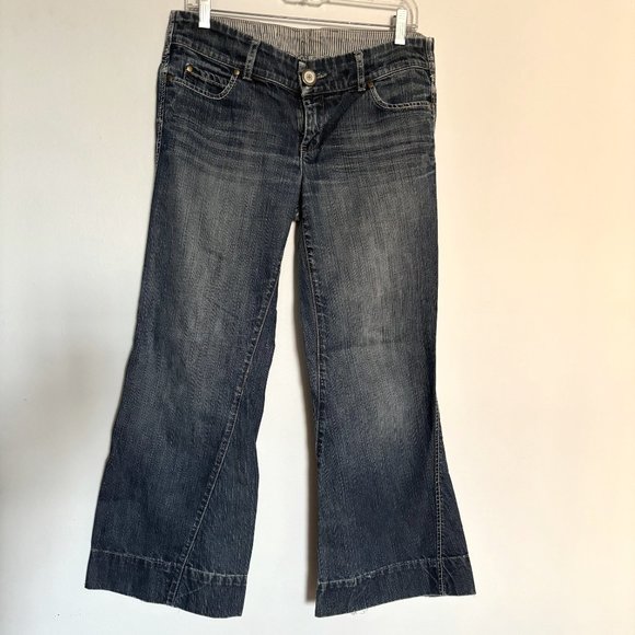 Anthropologie I LEVEL 99 I Wide Leg Jeans I Size 29 - Picture 1 of 8